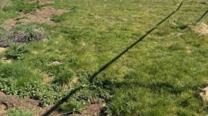 Single Plot available in Maresfield photo